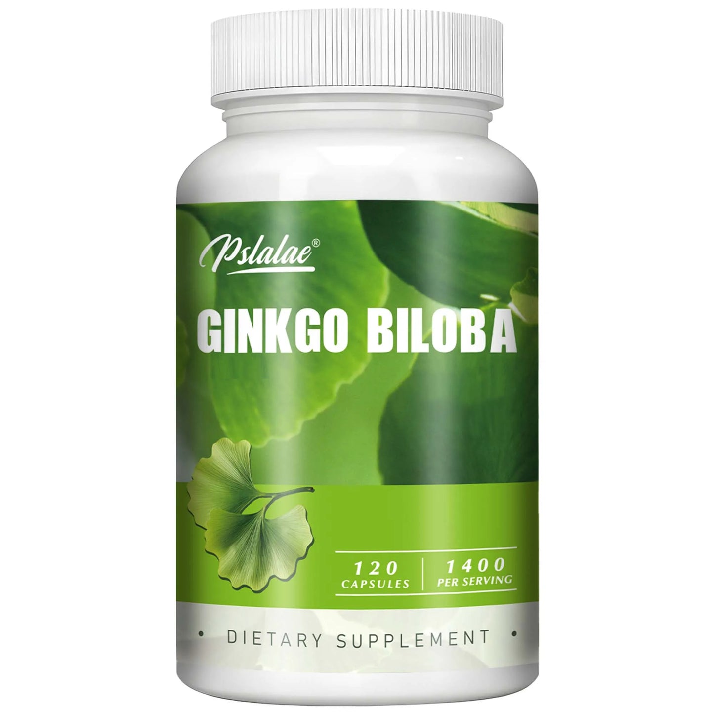 Pslalae Ginkgo Biloba – For Daily Focus & Routin | 120