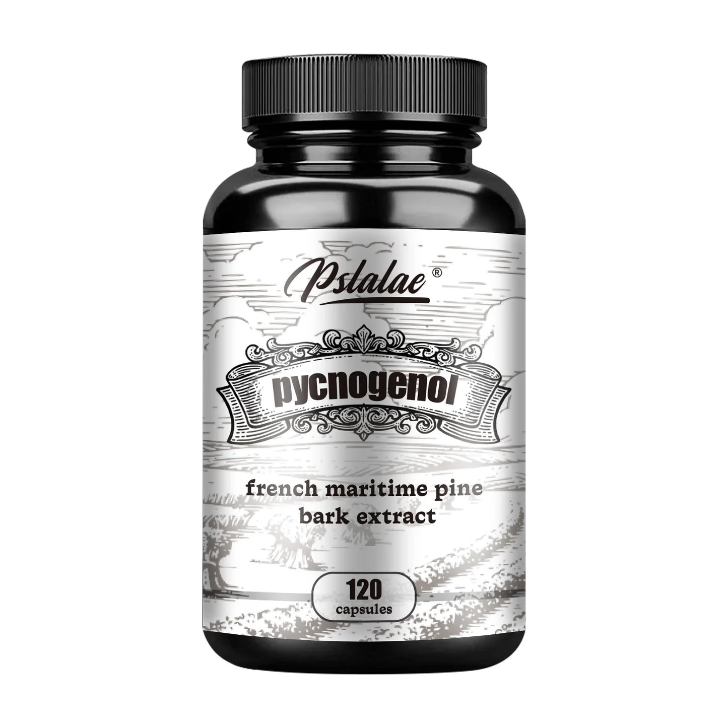 Pslalae Pycnogenol French Ocean Pine Peel Extract | 120