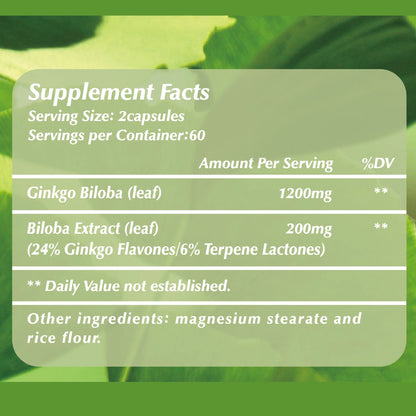 Pslalae Ginkgo Biloba – For Daily Focus & Routin | 120