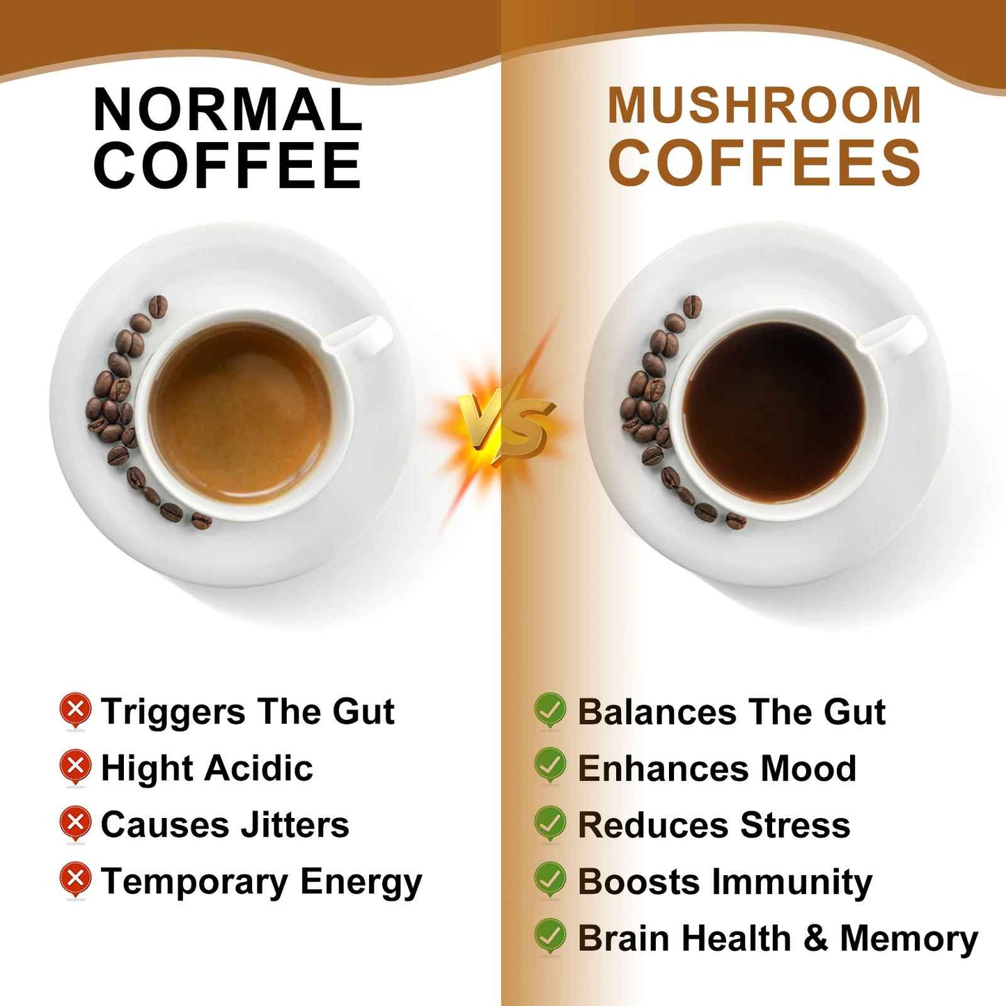 BWEORTHS 10 Mushroom Coffee Blend | Lion's Mane, Cordyceps, Reishi, Turkey Tail, Chaga & Maitake | 120g