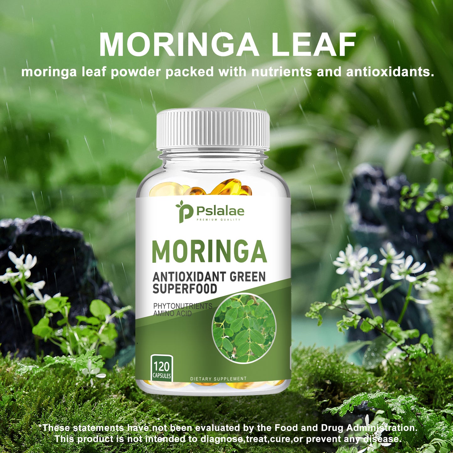 Pslalae Moringa Leaf Capsules 1000mg – Everyday Use | 120