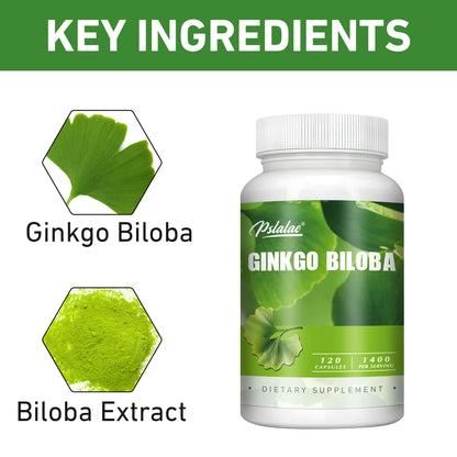 Pslalae Ginkgo Biloba – For Daily Focus & Routin | 120