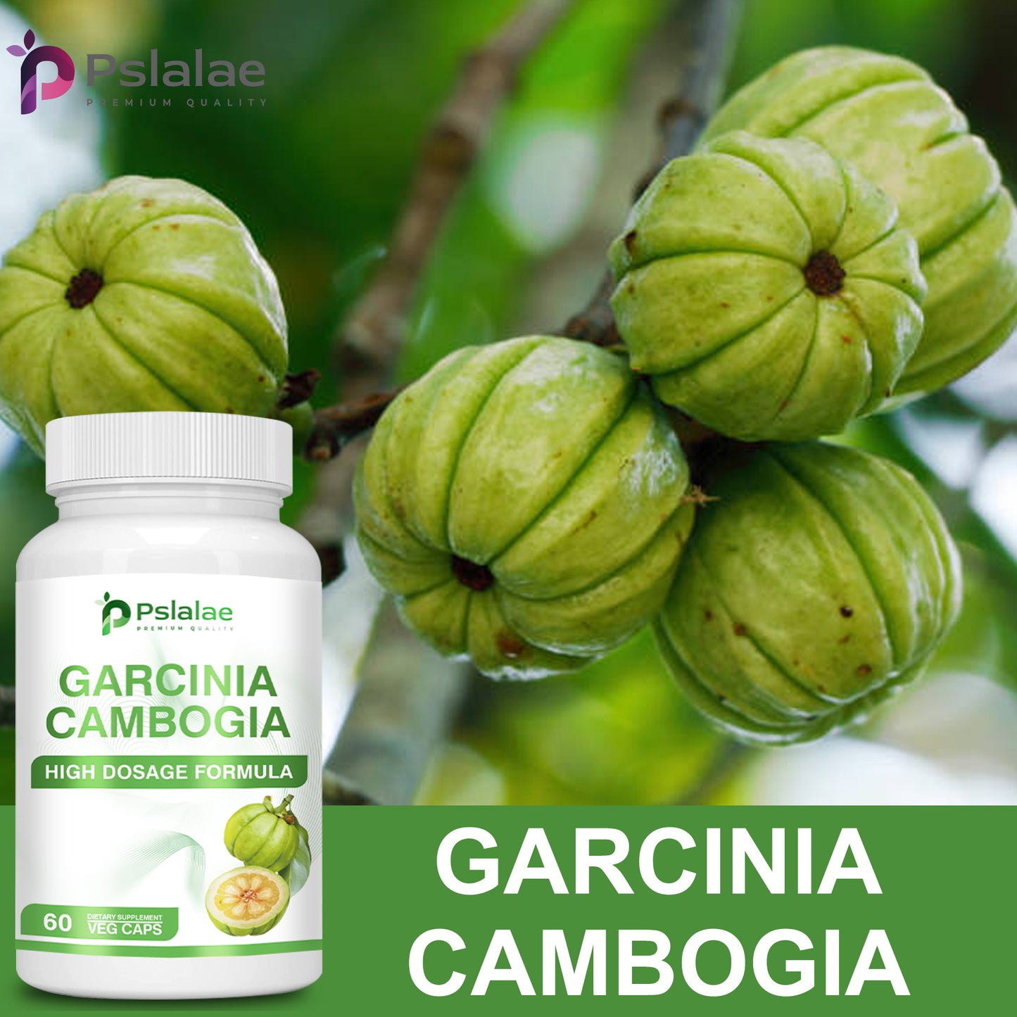 Pslalae Garcinia Cambogia Extract Capsules | 60