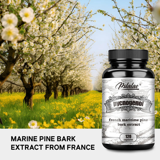 Pslalae Pycnogenol French Ocean Pine Peel Extract | 120
